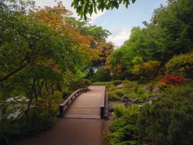 Viyana 'da bir yaz günü Japon parkı. Zetagaya Parkı, nisandan ekim ayına kadar halka açık kiraz ağaçları ve balık havuzlu küçük, sessiz bir Japon bahçesidir..