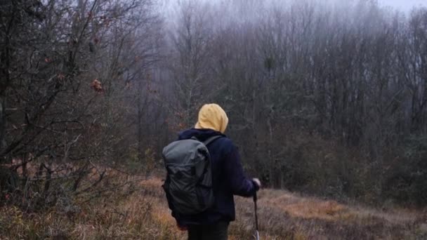 旅行や発見活動的なライフスタイルハイキングという考え方です 秋晴れの山の中の男ハイカーのシルエット 自作の人物像 — ストック動画