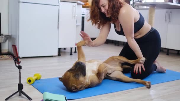 Feminino Praticando Exercício Ioga Casa Juntamente Com Cão Chão Mulher — Vídeo de Stock