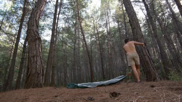 Créer Confort Homme Accroche Hamac Dans Forêt Une Retraite Nature Séquence Vidéo