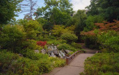 Viyana 'da bir yaz günü Japon parkı. Zetagaya Parkı, nisandan ekim ayına kadar halka açık kiraz ağaçları ve balık havuzlu küçük, sessiz bir Japon bahçesidir..