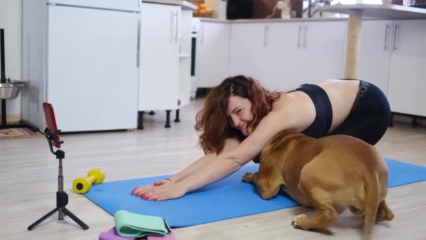 Femme Pratiquant Exercice Yoga Maison Avec Chien Sur Sol Belle Vidéo De Stock