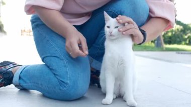 Kadın sokakta beyaz kedi besliyor. Kadınlar gülümser, hayvanlarla etkileşimden zevk alırlar. Hayvanlara iyi davranılması ve yardım edilmesi..