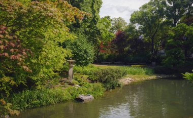 Viyana 'da bir yaz günü Japon parkı. Zetagaya Parkı, nisandan ekim ayına kadar halka açık kiraz ağaçları ve balık havuzlu küçük, sessiz bir Japon bahçesidir..