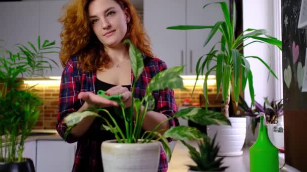 Rudowłosa Kobieta Zajmuje Się Roślinami Podlewania Roślin Domowych Stojąc Pokoju — Wideo stockowe