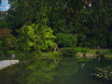 Viyana 'da bir yaz günü Japon parkı. Zetagaya Parkı, nisandan ekim ayına kadar halka açık kiraz ağaçları ve balık havuzlu küçük, sessiz bir Japon bahçesidir..