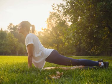 Genç Asyalı bir kadın sabah ya da akşam parkta yoga yapıyor sağlıklı bir kadın şehir parkında Upward Facing Dog Poose 'da dinleniyor. Farkındalık, kararlılık, sağlıklı alışkanlıklar ve denge konsepti