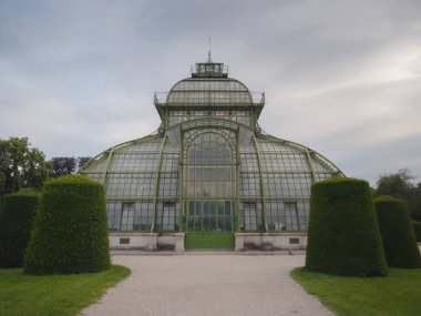 Viyana, Avusturya 'ya git. 1882 'de kurulan Schonbrunn Sarayı' nın parkında güzel bir sera, bir portakal.,