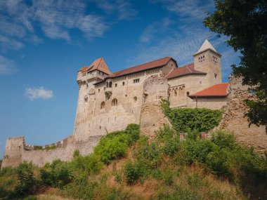 Viyana, Avusturya civarına yaz gezisi. 12. yüzyıldan kalma Lihtenştayn Antik Kalesi. Mavi gökyüzü arka planında tarihi bir kale. Lihtenştayn, Aşağı Avusturya (Modelleme kenti yakınında yer almaktadır)