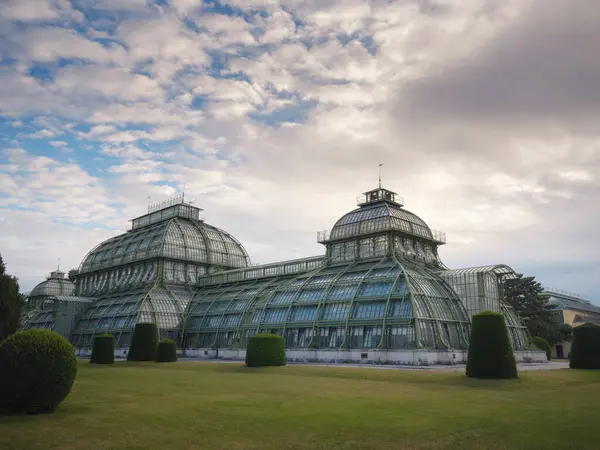 Viyana, Avusturya 'ya git. 1882 'de kurulan Schonbrunn Sarayı' nın parkında güzel bir sera, bir portakal.,