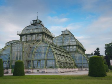 Viyana, Avusturya 'ya git. 1882 'de kurulan Schonbrunn Sarayı' nın parkında güzel bir sera, bir portakal.,
