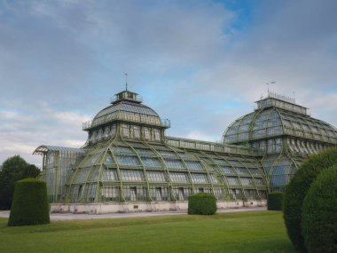 Viyana, Avusturya 'ya git. 1882 'de kurulan Schonbrunn Sarayı' nın parkında güzel bir sera, bir portakal.,