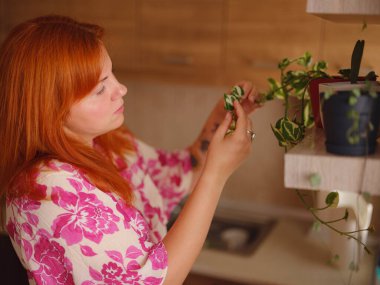 Evinde saksıda güzel çiçekleri olan genç bir kadın. Bitkilerimle ilgilenmek.