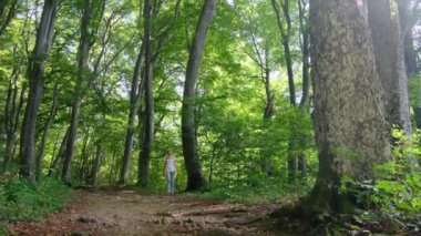 Zengin bir ormanda sırt çantasıyla yürüyüş yapan bir kadın yaz güneşli günlerinde doğal çevrenin tadını çıkarıyor. Ormanlık bir patikada yürüyor, kendini doğanın ve maceranın güzelliğine kaptırıyor..