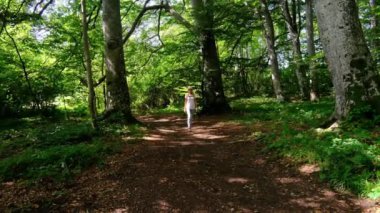Zengin bir ormanda sırt çantasıyla yürüyüş yapan bir kadın yaz güneşli günlerinde doğal çevrenin tadını çıkarıyor. Ormanlık bir patikada yürüyor, kendini doğanın ve maceranın güzelliğine kaptırıyor..