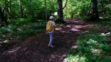 Zengin bir ormanda sırt çantasıyla yürüyüş yapan bir kadın yaz güneşli günlerinde doğal çevrenin tadını çıkarıyor. Ormanlık bir patikada yürüyor, kendini doğanın ve maceranın güzelliğine kaptırıyor..