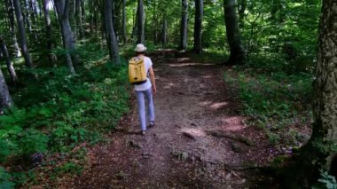 Zengin bir ormanda sırt çantasıyla yürüyüş yapan bir kadın yaz güneşli günlerinde doğal çevrenin tadını çıkarıyor. Ormanlık bir patikada yürüyor, kendini doğanın ve maceranın güzelliğine kaptırıyor..