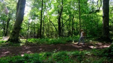 Zengin bir ormanda sırt çantasıyla yürüyüş yapan bir kadın yaz güneşli günlerinde doğal çevrenin tadını çıkarıyor. Ormanlık bir patikada yürüyor, kendini doğanın ve maceranın güzelliğine kaptırıyor..