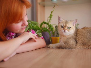 Evde bir kadınla güzel, kısa saçlı bir kedi. Sevimli evcil hayvan konsepti. kapalı alan bitkilerinin arka planına karşı