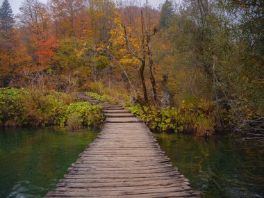 Wooden walkpath in Plitvice National Park. Splendid autumn in forest with pure water lake. Picturesque landscape of Croatia, Europe. Beauty of nature concept background. clipart