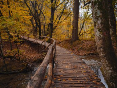 Plitvice Ulusal Parkı 'nda tahta yürüyüş yolu. Saf su gölüyle ormandaki muhteşem sonbahar. Hırvatistan ve Avrupa 'nın resimli manzarası. Doğa konseptinin güzelliği.
