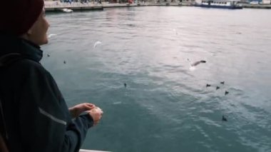 İstanbul, Türkiye - 3 Aralık 2023. Kadın martıları ve kargaları besliyor. İstanbul 'dan gelen feribot yolcuları, İstanbul' daki dalgalı sularda seyreden feribot görüntülerini düzenli olarak alıyor..