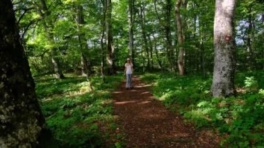 Zengin bir ormanda sırt çantasıyla yürüyüş yapan bir kadın yaz güneşli günlerinde doğal çevrenin tadını çıkarıyor. Ormanlık bir patikada yürüyor, kendini doğanın ve maceranın güzelliğine kaptırıyor..