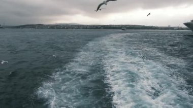 İstanbul, Türkiye - 3 Aralık 2023 İstanbul Boğazı 'ndaki dalgalı sularda seyreden feribot gemisinden görüntü. Martılar ve diğer kuşlar yolcu feribotunun yanında.