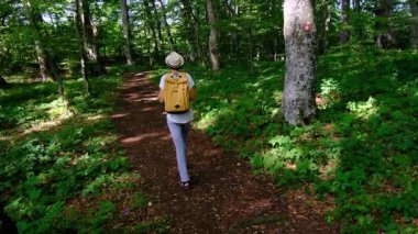 Zengin bir ormanda sırt çantasıyla yürüyüş yapan bir kadın yaz güneşli günlerinde doğal çevrenin tadını çıkarıyor. Ormanlık bir patikada yürüyor, kendini doğanın ve maceranın güzelliğine kaptırıyor..