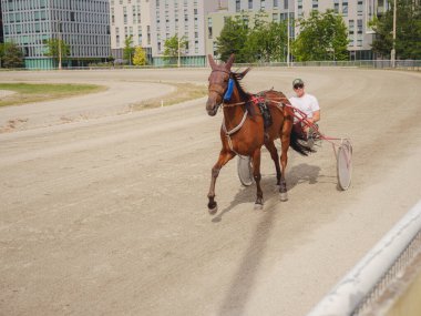 Viyana, Avusturya, 19 Temmuz 2023. Krieau Trotting Track, Trabrennplatz olarak da bilinir, tarihi at yarışı pisti, gelenek ve modern tesislerin birleştirilmesi, Viyana 'nın Leopoldstadt bölgesinin bir parçası.