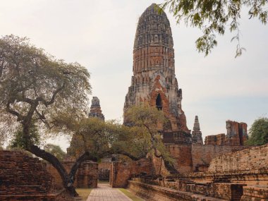 Ayutthaya 'nın antik Wat Mahathat tapınağı ve ikonik simgeler, UNESCO Dünya Mirası sahasının huzurlu atmosferinde karmaşık mimari, tarihi kalıntılar ve kültür mirası sergileniyor..