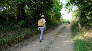 Kırsal alanlarda yürüyüş yapan bir kadın, açık araziler, temiz hava ve huzurlu kırsal manzarayla çevrili. Açık havanın doğal güzelliğini ve sükunetini seviyor..
