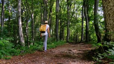 Kırsal alanlarda yürüyüş yapan bir kadın, açık araziler, temiz hava ve huzurlu kırsal manzarayla çevrili. Açık havanın doğal güzelliğini ve sükunetini seviyor..