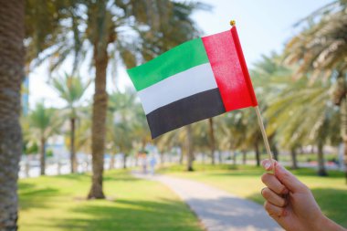 Corniche 'den Abu Dabi Parkı' na karşı küçük bir BAE bayrağı taşıyan kadın eli. Abu Dabi 'de gezinti. Birleşik Arap Emirlikleri, Orta Doğu. BAE ulusal kutlama ruhunun fotoğrafı..
