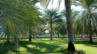 Abu Dabi, BAE 'deki en eski taş bina olan Qasr al-Hosn kulesine park etmek, BAE' nin mirasını yansıtan çarpıcı mimari ve bereketli bahçelere sahip..