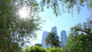 Abu Dabi Corniche Deniz Tarafındaki huzurlu park. Yeşillik palmiye ağaçları, yeşil alanlar, dingin yollar. Sakin bir atmosfer yakalar, rahatlamak için ideal doğa yürüyüşleri ve şehrin doğal güzelliğinin tadını çıkarır..