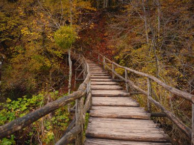 Plitvice Ulusal Parkı 'nda tahta yürüyüş yolu. Saf su gölüyle ormandaki muhteşem sonbahar. Hırvatistan ve Avrupa 'nın resimli manzarası. Doğa konseptinin güzelliği.
