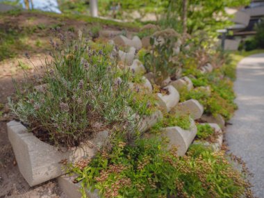 Viyana, Avusturya, 19 Temmuz 2023. Prater 'ın dışında bir apartman dairesinde. Avrupa 'nın modern evindeki konut binası. Yazın şehir merkezinde kiralık ev. Yeşil ve modern ev