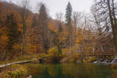 Sonbaharda Hırvatistan 'da Plitvice Gölleri, büyüleyici şelaleler, canlı yapraklar ve kristal berrak sular sergiliyor ve doğa severler için mükemmel büyülü ve sakin bir doğal manzara yaratıyor..