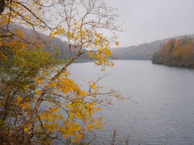 Sonbaharda Hırvatistan 'daki Plitvice Gölleri, büyüleyici şelaleler, canlı yapraklar ve kristal berrak sular sergilenerek büyülü ve sakin bir doğal manzara yaratıyor. Sonbahar yapraklı göl sisi