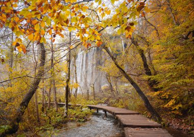 Plitvice Ulusal Parkı 'nda tahta yürüyüş yolu. Saf su gölüyle ormandaki muhteşem sonbahar. Hırvatistan ve Avrupa 'nın resimli manzarası. Doğa konseptinin güzelliği.