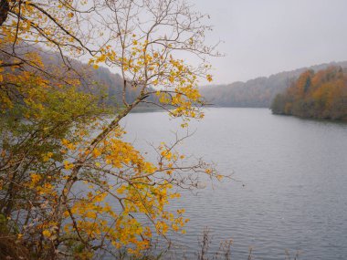 Sonbaharda Hırvatistan 'daki Plitvice Gölleri, büyüleyici şelaleler, canlı yapraklar ve kristal berrak sular sergilenerek büyülü ve sakin bir doğal manzara yaratıyor. Sonbahar yapraklı göl sisi