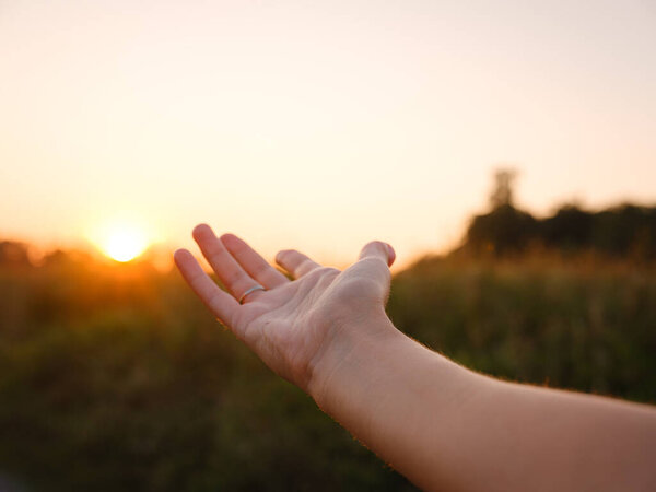 Мягкий вечерний свет купает золотое поле, когда женская рука нежно движется по высокой траве, захватывая чувство свободы, природы и спокойствия. Теплые закатные тона создают мирную, мечтательную атмосферу сельской местности..