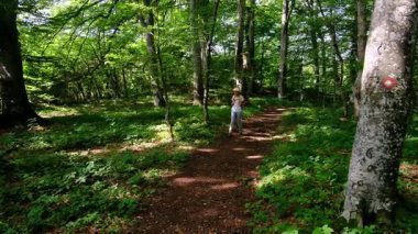 Zengin bir ormanda sırt çantasıyla yürüyüş yapan bir kadın yaz güneşli günlerinde doğal çevrenin tadını çıkarıyor. Ormanlık bir patikada yürüyor, kendini doğanın ve maceranın güzelliğine kaptırıyor..