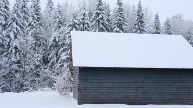 Hırvatistan 'da kar altında küçük bir kırsal ahşap ev. Hırvatistan 'ın Primorsko-Gorski Kotar İlçesi' ndeki karlı çam ormanı yakınlarındaki kulübe veya kulübe.