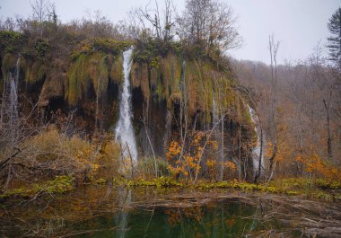 Sonbaharda Hırvatistan 'da Plitvice Gölleri, büyüleyici şelaleler, canlı yapraklar ve kristal berrak sular sergiliyor ve doğa severler için mükemmel büyülü ve sakin bir doğal manzara yaratıyor..