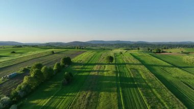 Ortaçağ Dreznik Grad yakınlarında yeşil çayırlar ve tepeler. Dreznik şehri yakınlarındaki geniş yeşil alanlar ve kırsal yolların insansız hava aracı görüntüsü. Canlı manzara, bahar büyümesi, Hırvat köylerinde tipik bir barış duygusu.