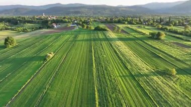 Ortaçağ Dreznik Grad yakınlarında yeşil çayırlar ve tepeler. Dreznik şehri yakınlarındaki geniş yeşil alanlar ve kırsal yolların insansız hava aracı görüntüsü. Canlı manzara, bahar büyümesi, Hırvat köylerinde tipik bir barış duygusu.