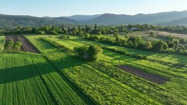 Ortaçağ Dreznik Grad yakınlarında yeşil çayırlar ve tepeler. Dreznik şehri yakınlarındaki geniş yeşil alanlar ve kırsal yolların insansız hava aracı görüntüsü. Canlı manzara, bahar büyümesi, Hırvat köylerinde tipik bir barış duygusu.