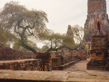 Wat Phra Ram Ayutthayas antik tapınak ve ikonik simgeler, bu UNESCO Dünya Mirası sahasının huzurlu atmosferinde karmaşık mimari, tarihi kalıntılar ve kültür mirası sergileniyor.